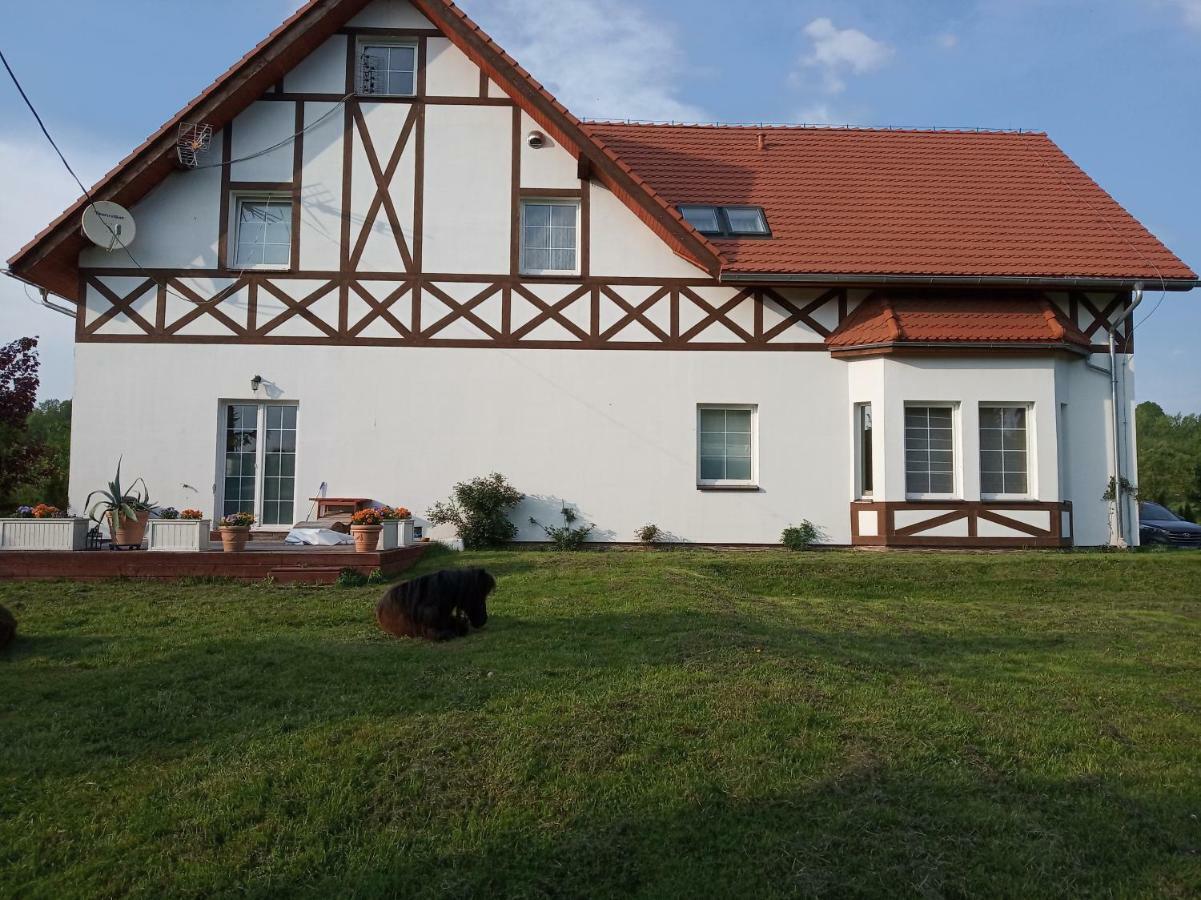 Olszyna  B&B Zrodlana 46 المظهر الخارجي الصورة